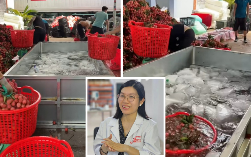 Vải thiều mới thu hoạch được ngâm nước đá, chuyên gia lý giải tác dụng