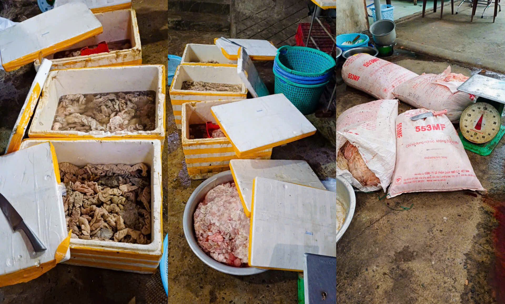 Phạt cơ sở kinh doanh gần 3,5 tấn nội tạng động vật không rõ nguồn gốc