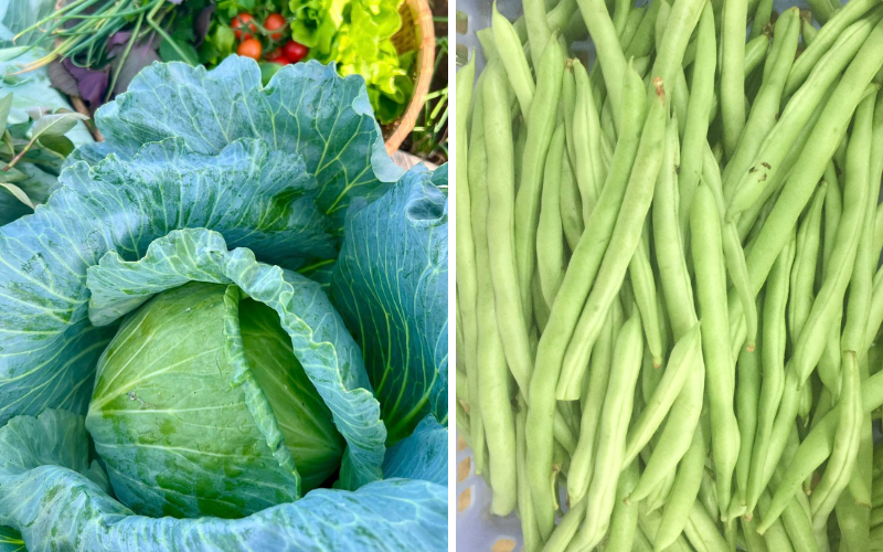 Chuyên gia kể tên những loại rau mùa hè dễ 'ngậm' hóa chất nhất