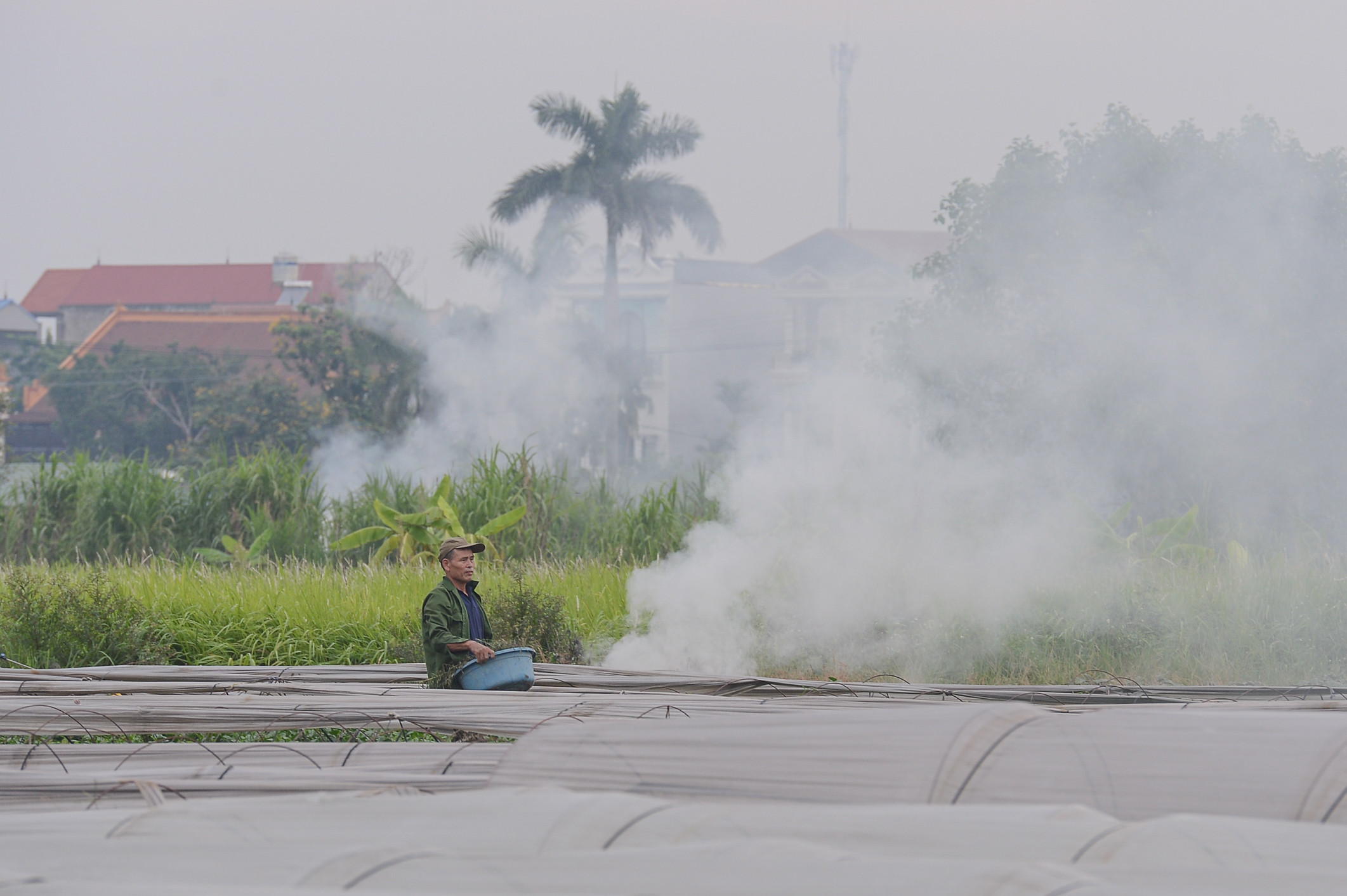 Dân đốt rơm, khói trắng trời Hà Nội, hun người đi đường