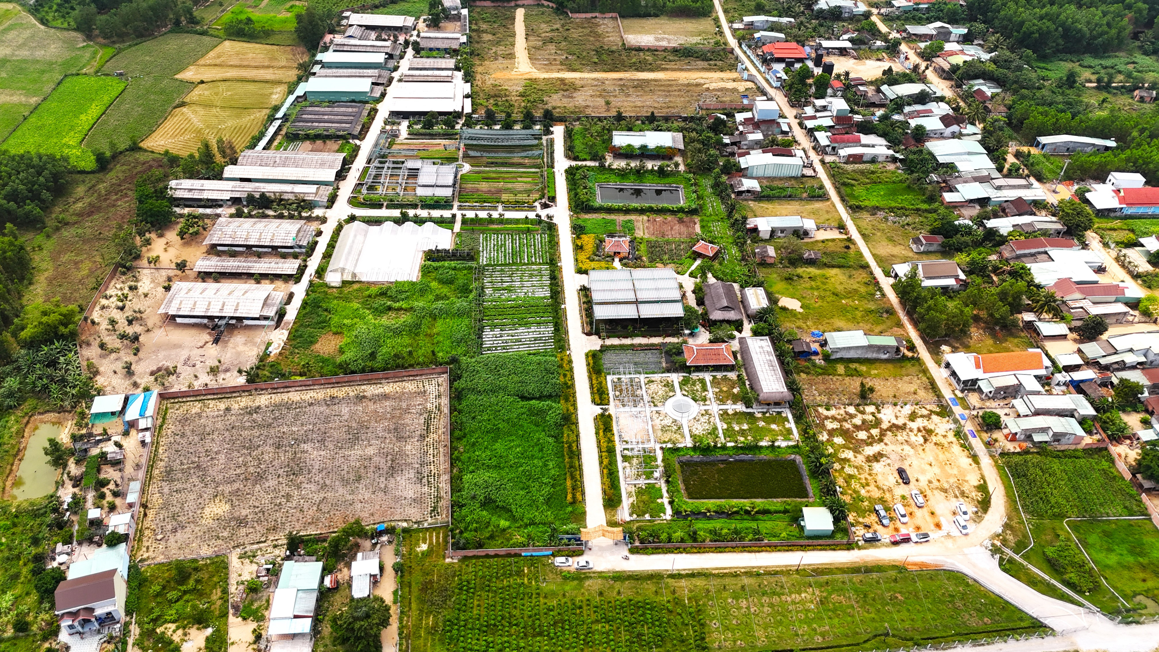  Xử lý nghiêm cán bộ để sai phạm kéo dài tại dự án sản xuất rau sạch ở Bình Định