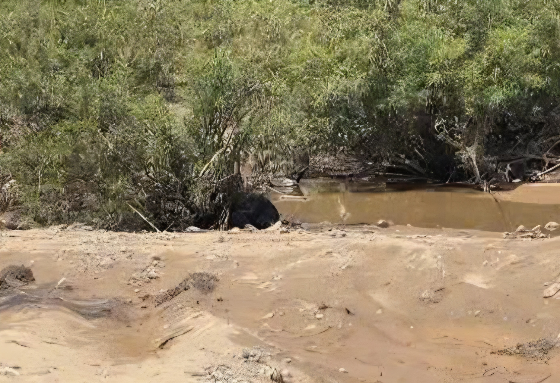 Người phụ nữ bị lũ cuốn rớt xuống cầu ở Quảng Ngãi: Nạn nhân trôi xa 12km