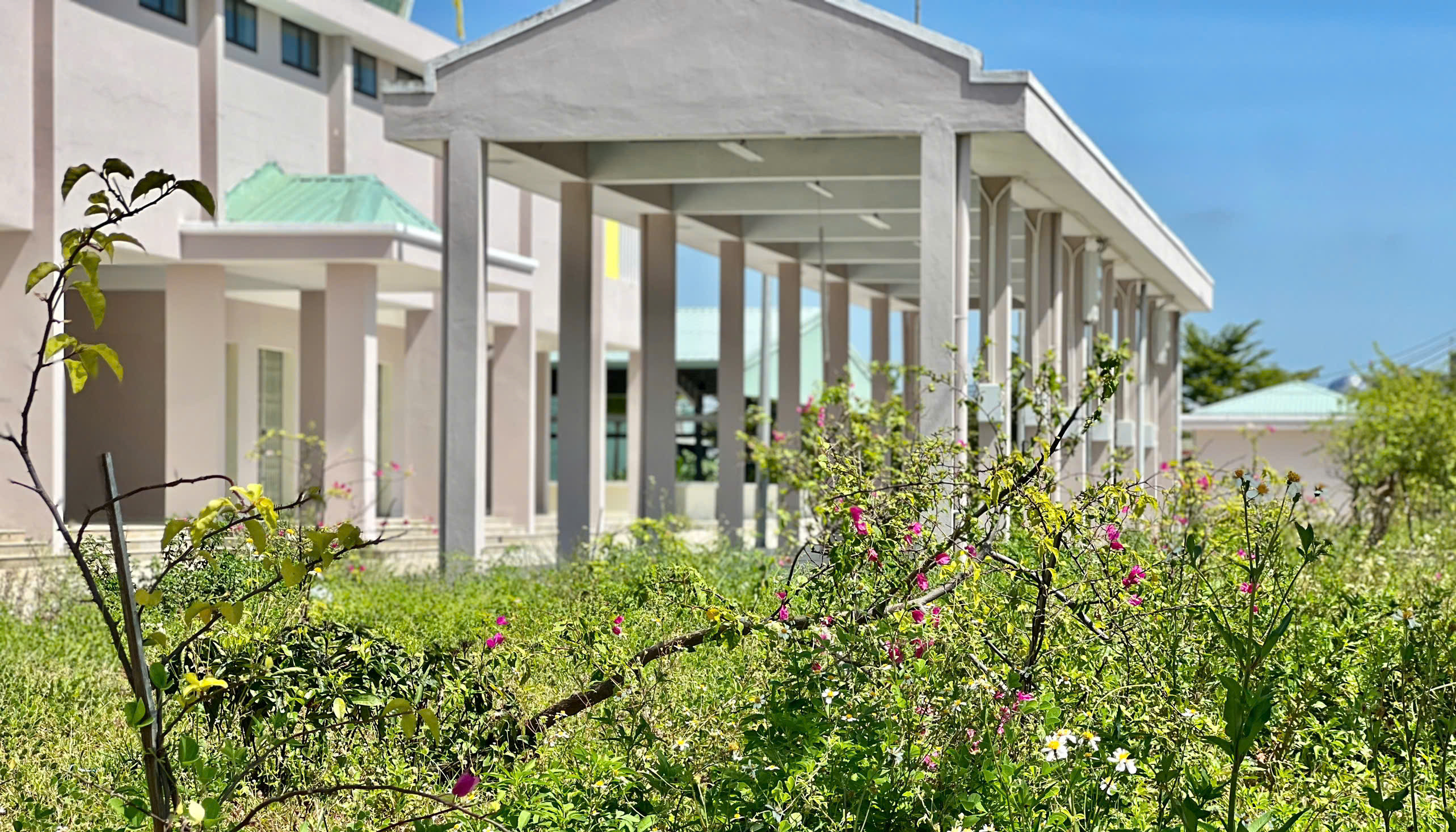 Chợ hơn 30 tỷ ở Đà Nẵng xây xong 'để ngắm'