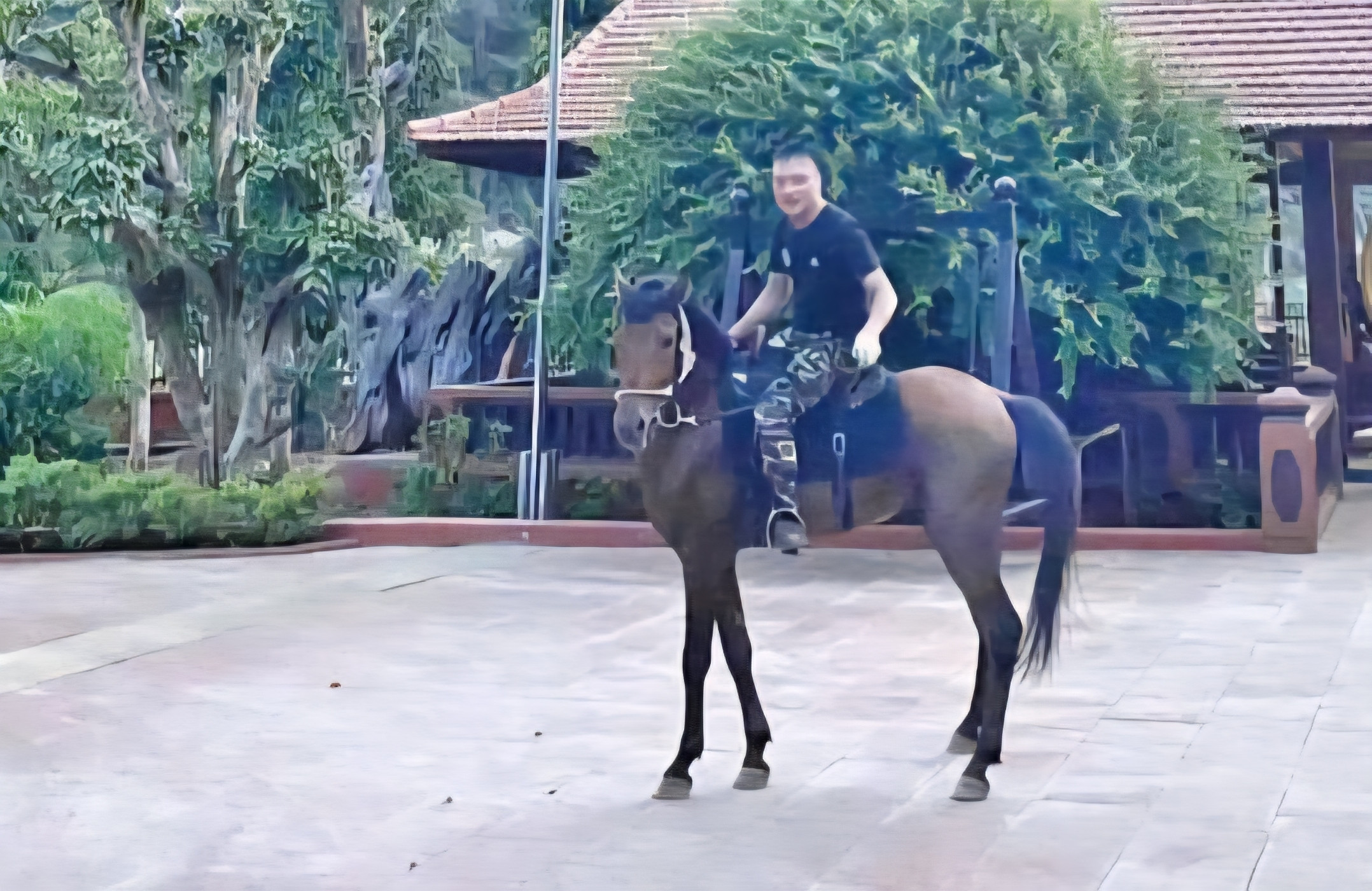 Vi 'ngộ' – từ kẻ có bệnh án tâm thần đến ông trùm thế giới ngầm