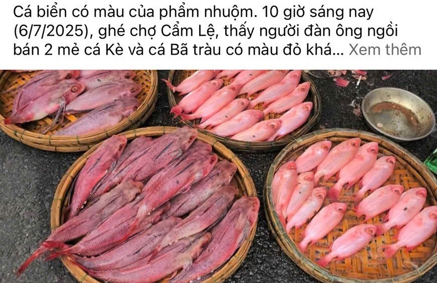 Người dân Đà Nẵng nghi ngờ cá bị nhuộm phẩm, tiểu thương nói rửa bằng nước ngọt