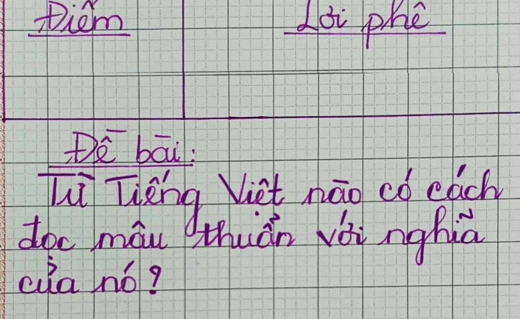 Từ Tiếng Việt nào đọc nghe 'khờ' nhưng nghĩa thông minh?