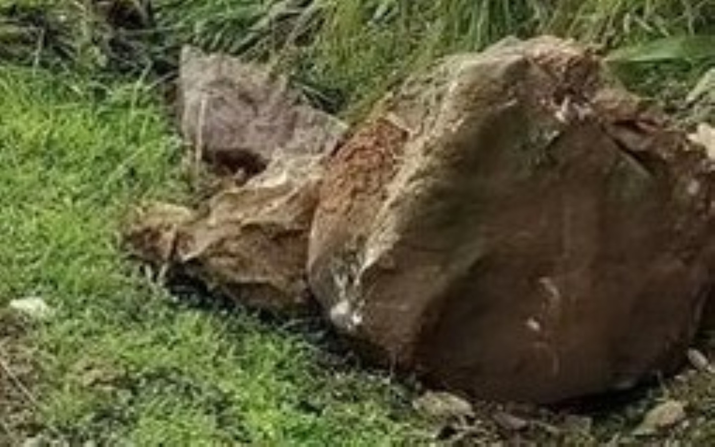 Theo người lớn đi chăn bò, 2 cháu bé bị đá đè ở Đắk Lắk