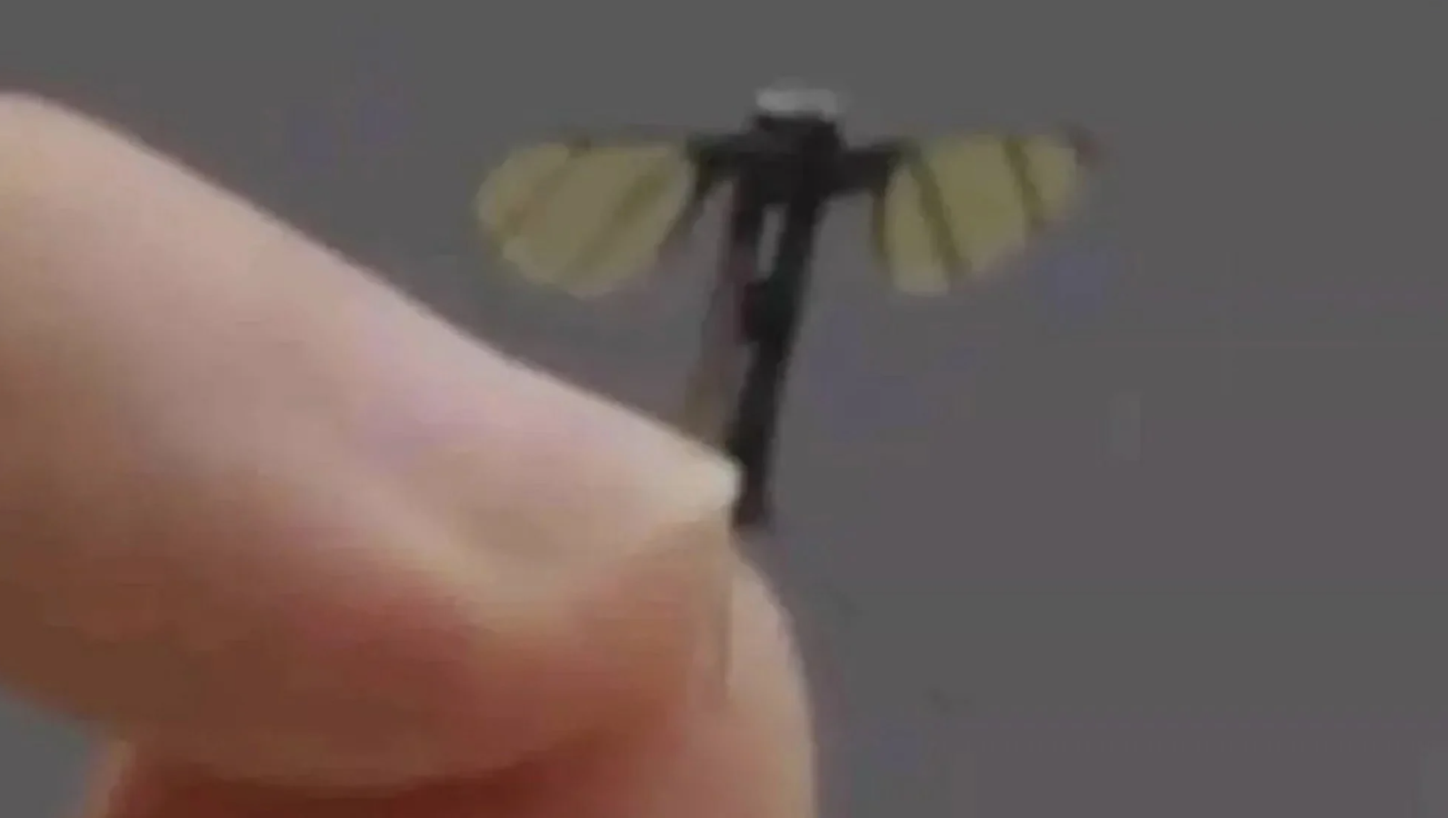 Mổ xẻ 'drone muỗi' Trung Quốc chuyên dùng cho do thám quân sự