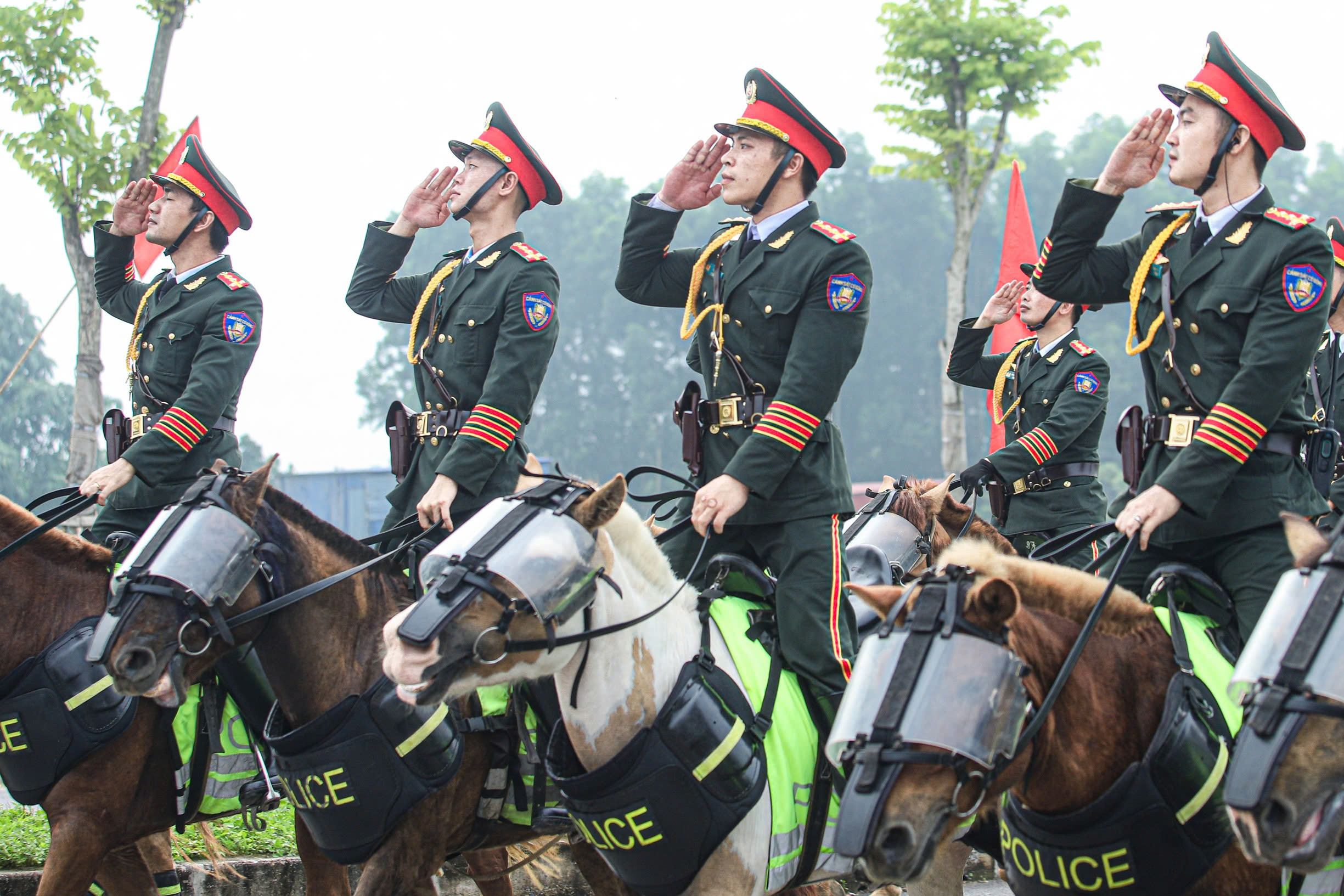 Ngắm dàn chiến mã tinh nhuệ tập luyện cho lễ diễu binh 2/9