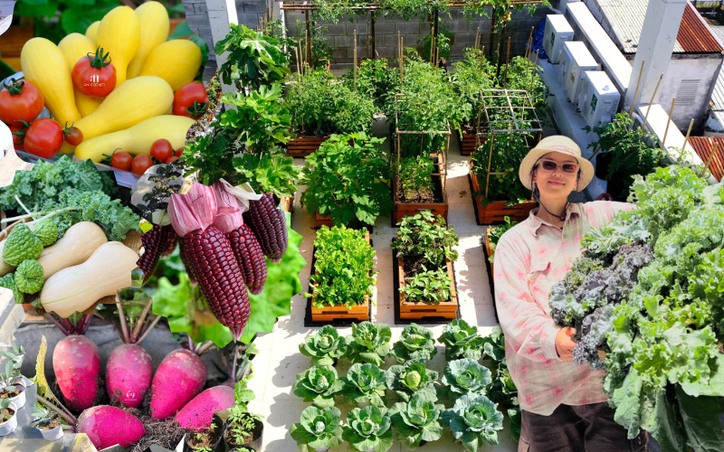 Mê mẩn khu vườn sân thượng đẹp 'như vẽ bằng AI' của mẹ đảm Đà Nẵng