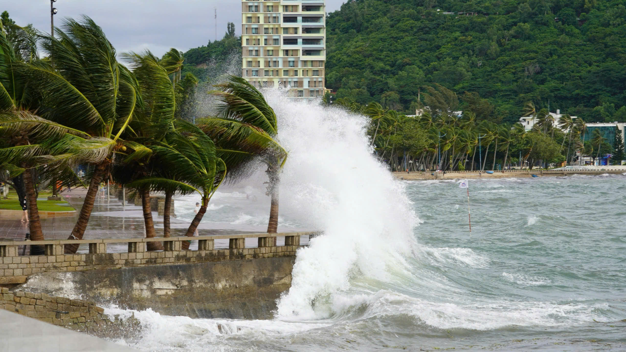 Bão Wipha liên tục mạnh thêm, khả năng ảnh hưởng trực tiếp đất liền nước ta