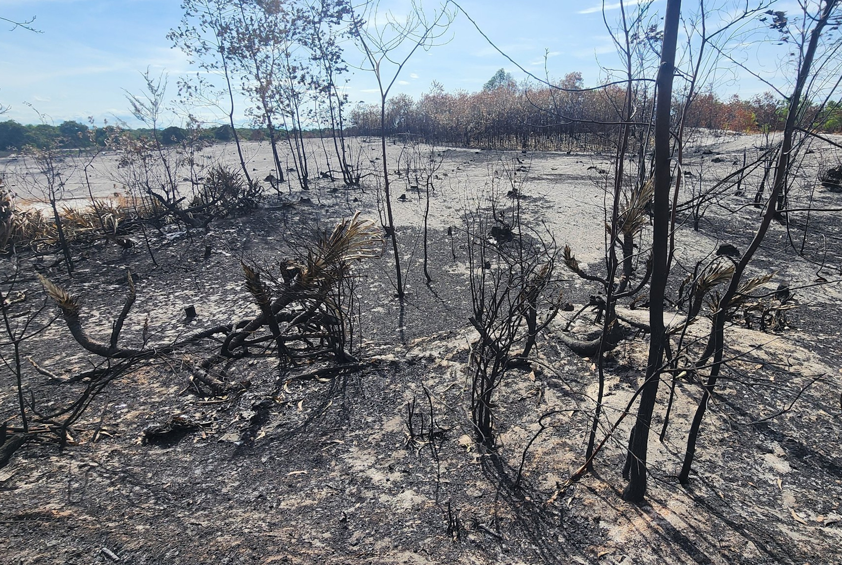 Cháy rừng ở Huế, gần 400 người vất vả dập lửa