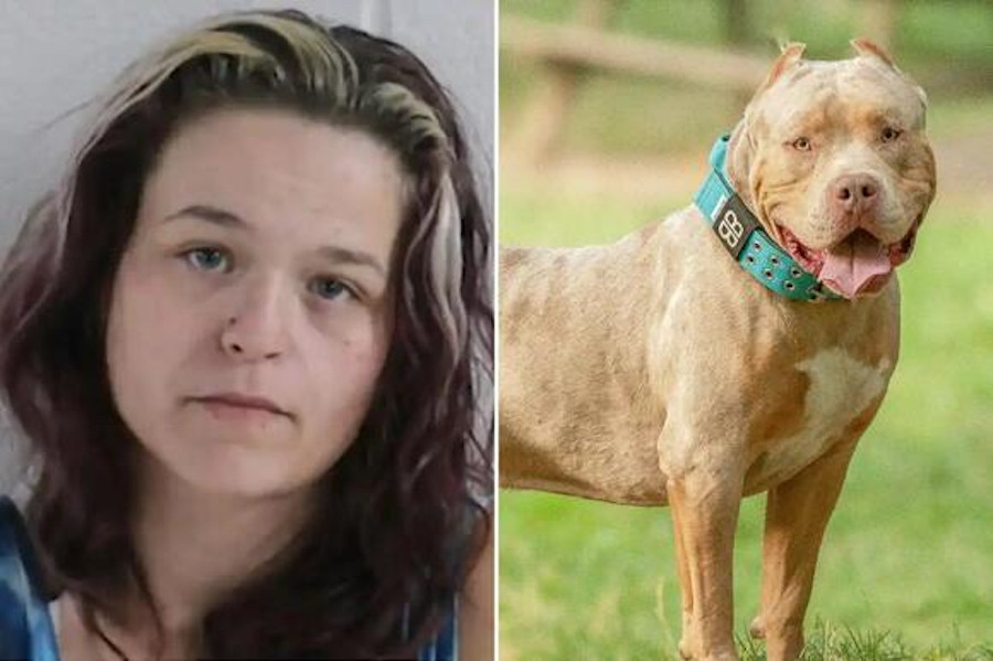 Người mẹ tàn độc trói tay con trai 6 tuổi để mặc chó pitbull cắn xé lĩnh án tù