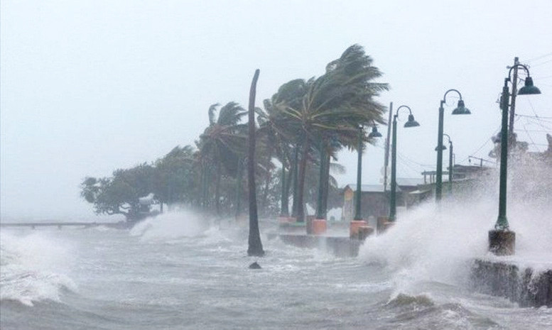 Bão Wipha mạnh 2 cấp sau gần 1 ngày, tiếp tục 'quần thảo' Biển Đông