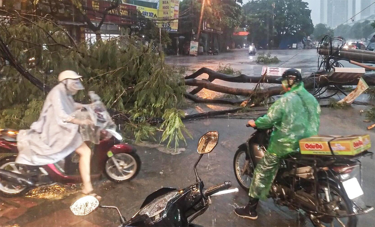 Mức độ nguy hiểm của bão số 3 Wipha khi duy trì gió mạnh cấp 10-11