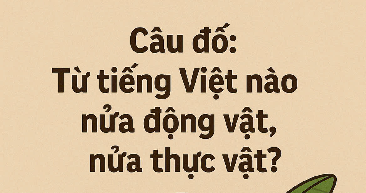 Từ Tiếng Việt nào tên nửa động vật, nửa thực vật?