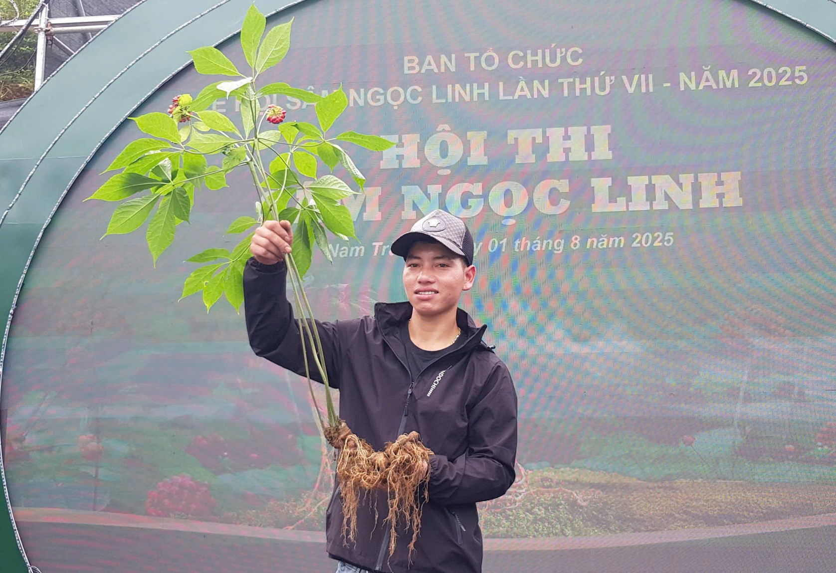 Người dân vùng cao ở Đà Nẵng mang hàng trăm cây sâm Ngọc Linh đi thi