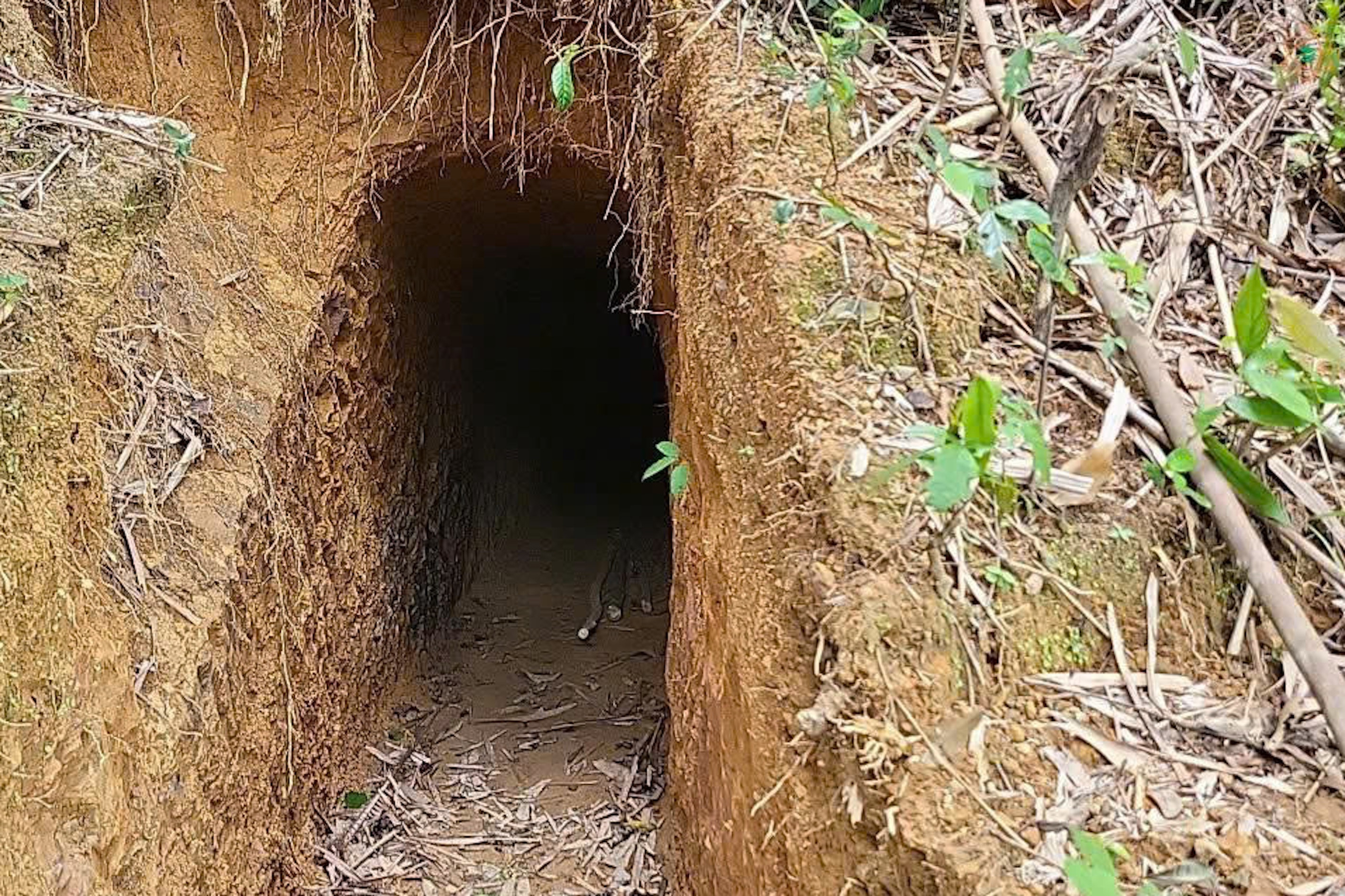 Cận cảnh những hầm vàng trái phép trong rừng phòng hộ Quảng Trị