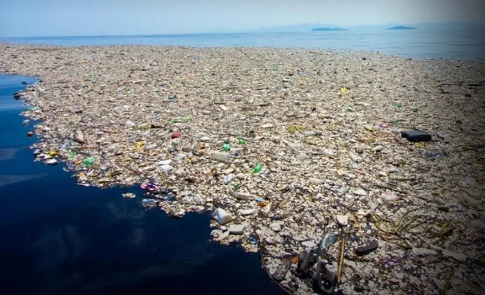 Khủng hoảng nhựa toàn cầu: Mỗi năm thiệt hại 1.500 tỷ USD, loài người bị đe dọa