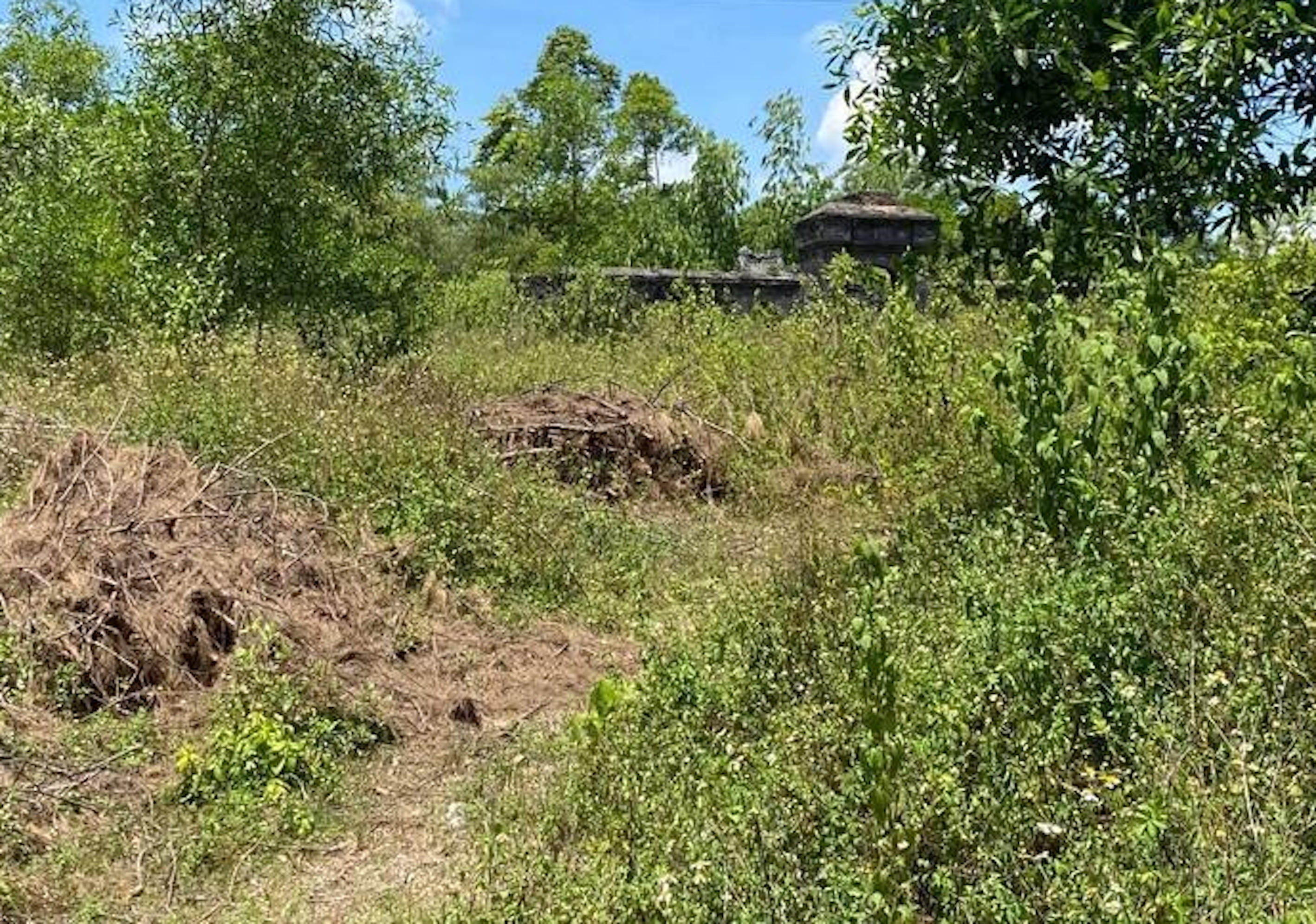 Dự án bãi đậu xe san phẳng mộ vợ vua Tự Đức: Cho chuyển mục đích sử dụng đất