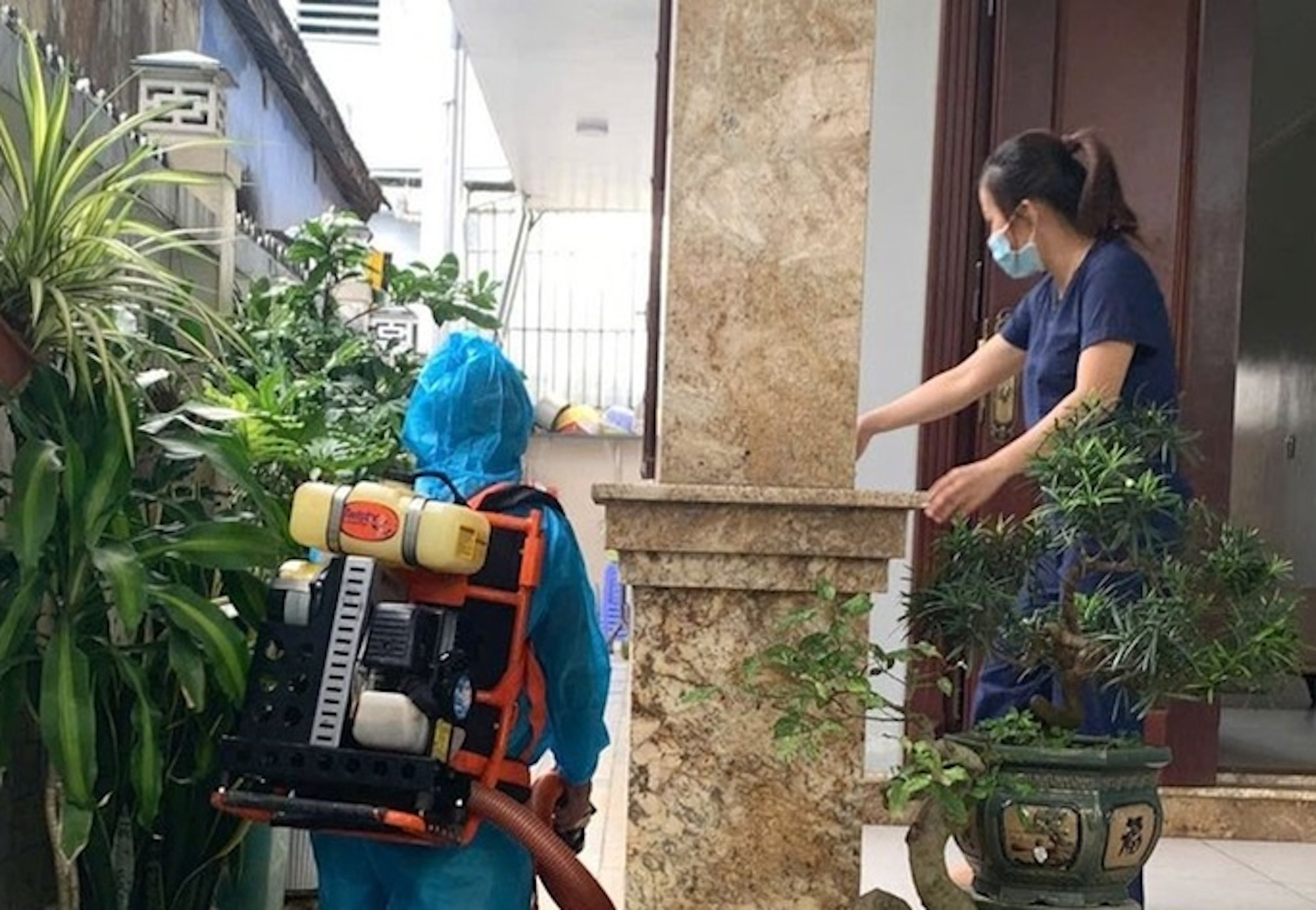 Sở Y tế TP Huế đề nghị người dân không tẩy chay thịt lợn