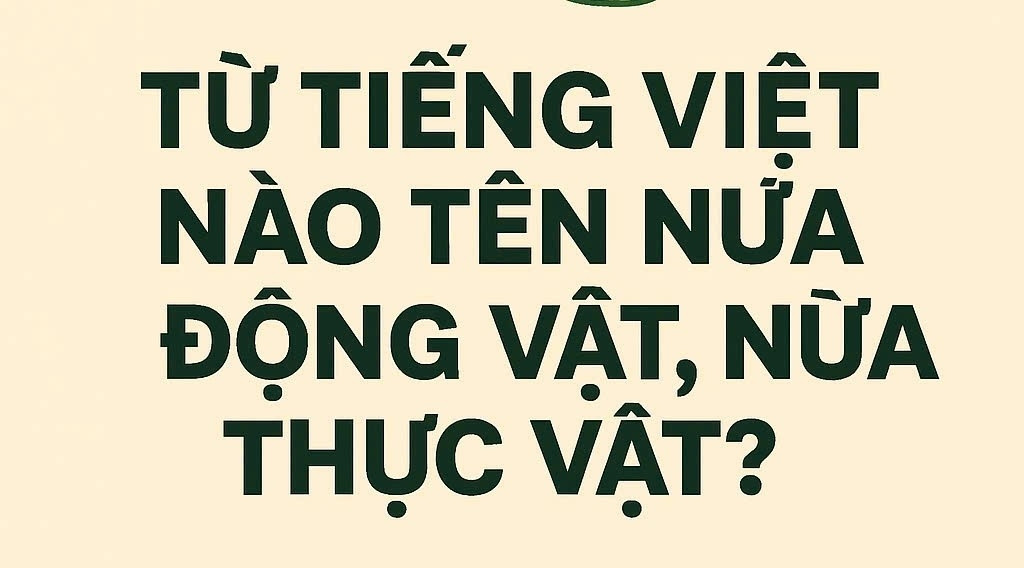 Từ Tiếng Việt nào tên nửa động vật, nửa thực vật?