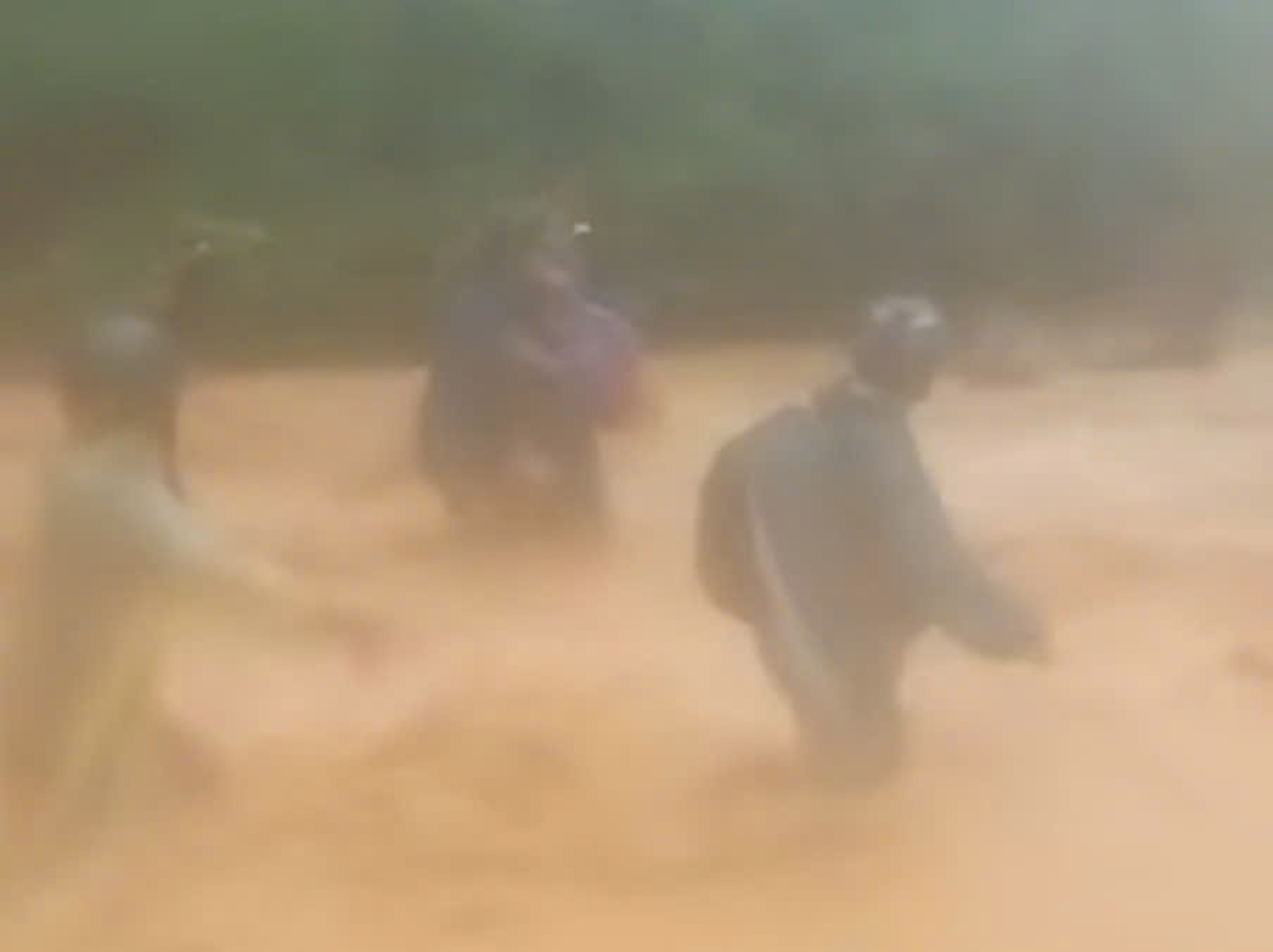 Cán bộ xã miền núi Nghệ An băng qua lũ dữ đưa hơn 120 dân bản đến nơi an toàn