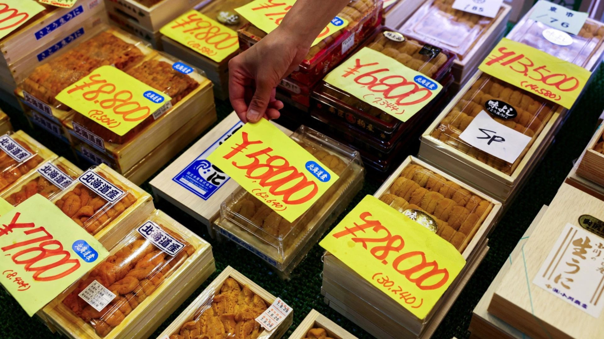 Nhật Bản: Một tô cơm cầu gai có giá 120 USD do nước biển ấm hơn 5°C