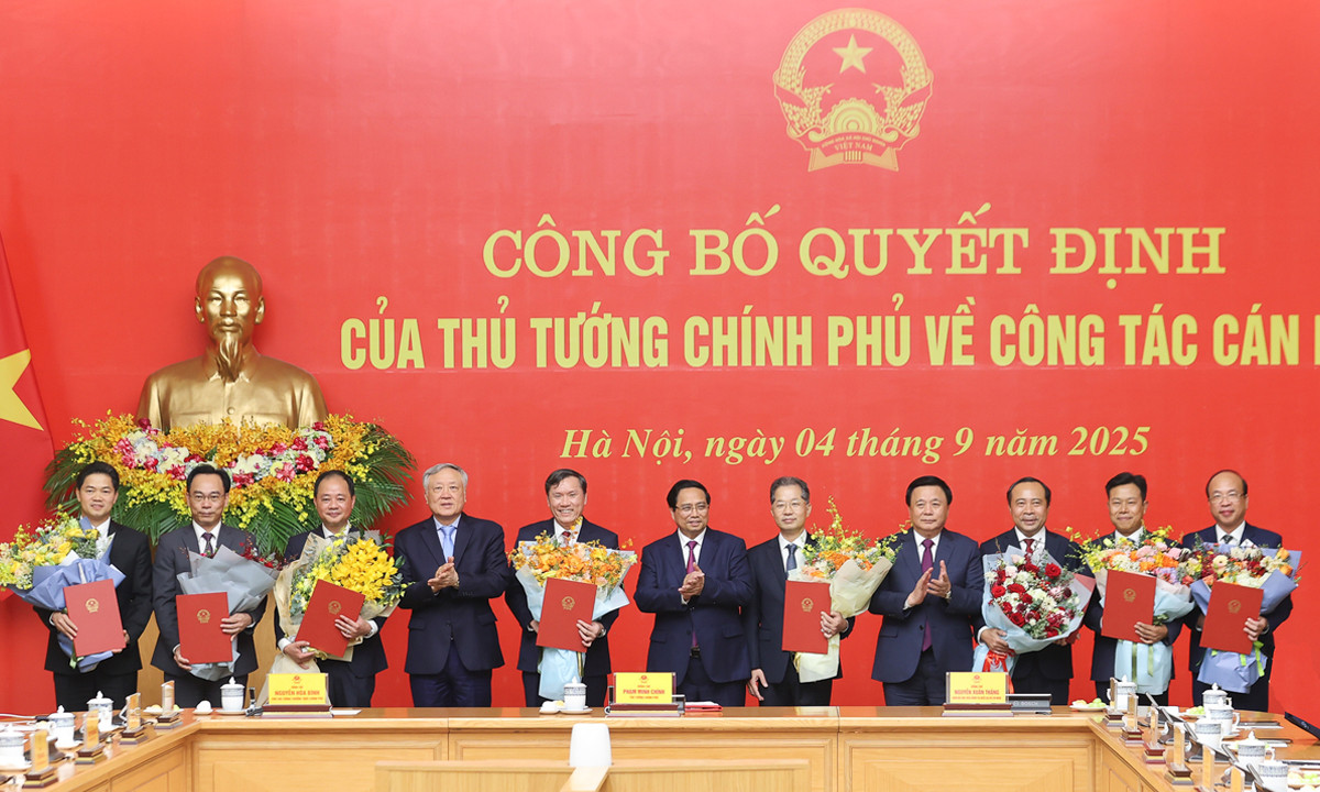 8 nhân sự lãnh đạo nhận quyết định điều động, bổ nhiệm vị trí mới