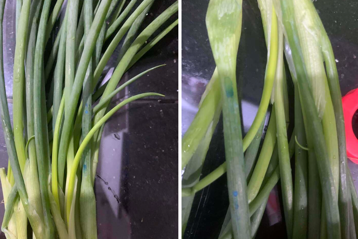 Dấu hiệu hành lá 'ngậm' hoá chất được chuyên gia ĐH Bách khoa chỉ rõ