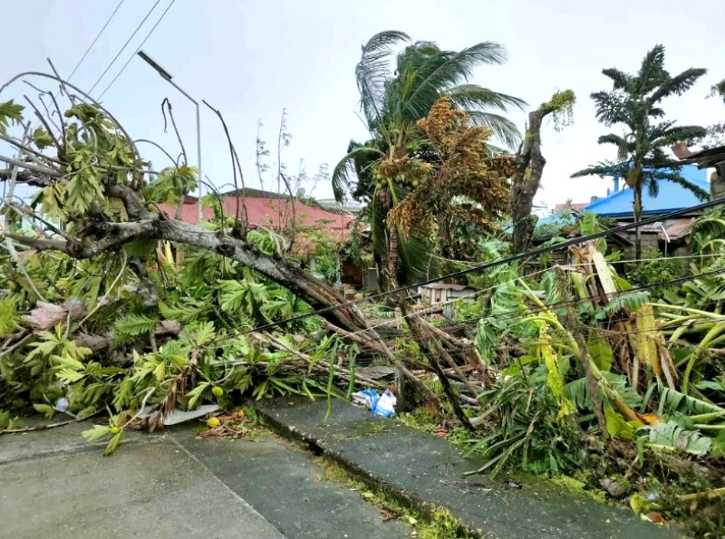 Biển Đông đón bão số 10 Bualoi giật cấp 15, hướng đất liền Thanh Hoá-Quảng Trị