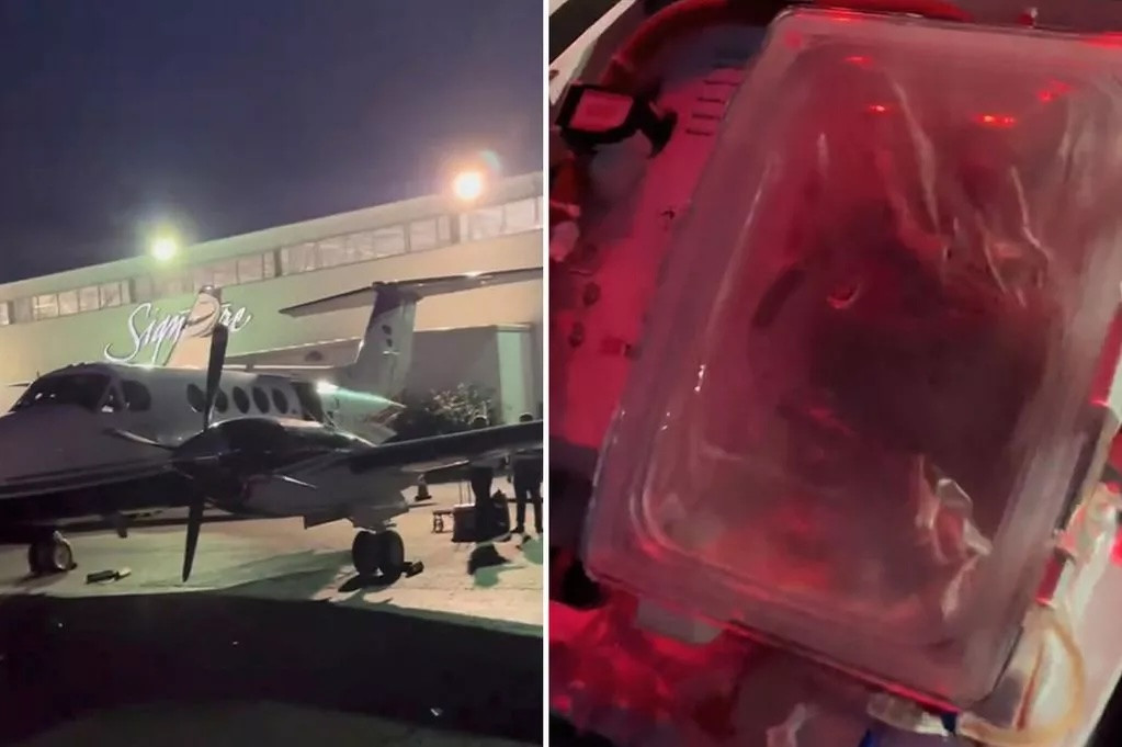 Clip trái tim đang đập trong hộp chờ cấy ghép thu hút 24 triệu lượt thích