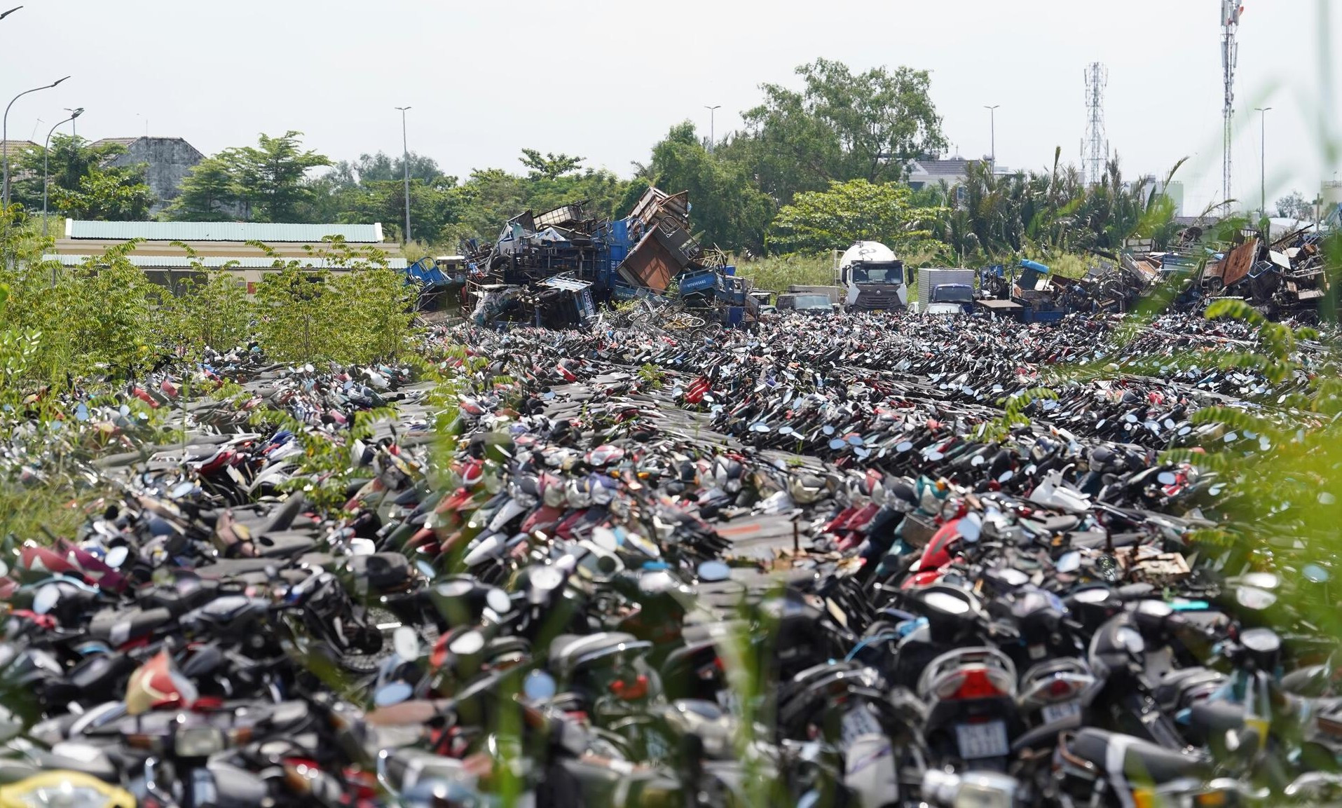 TP.HCM đấu giá thành công hơn 1.600 phương tiện vi phạm, thu hơn 3 tỷ đồng