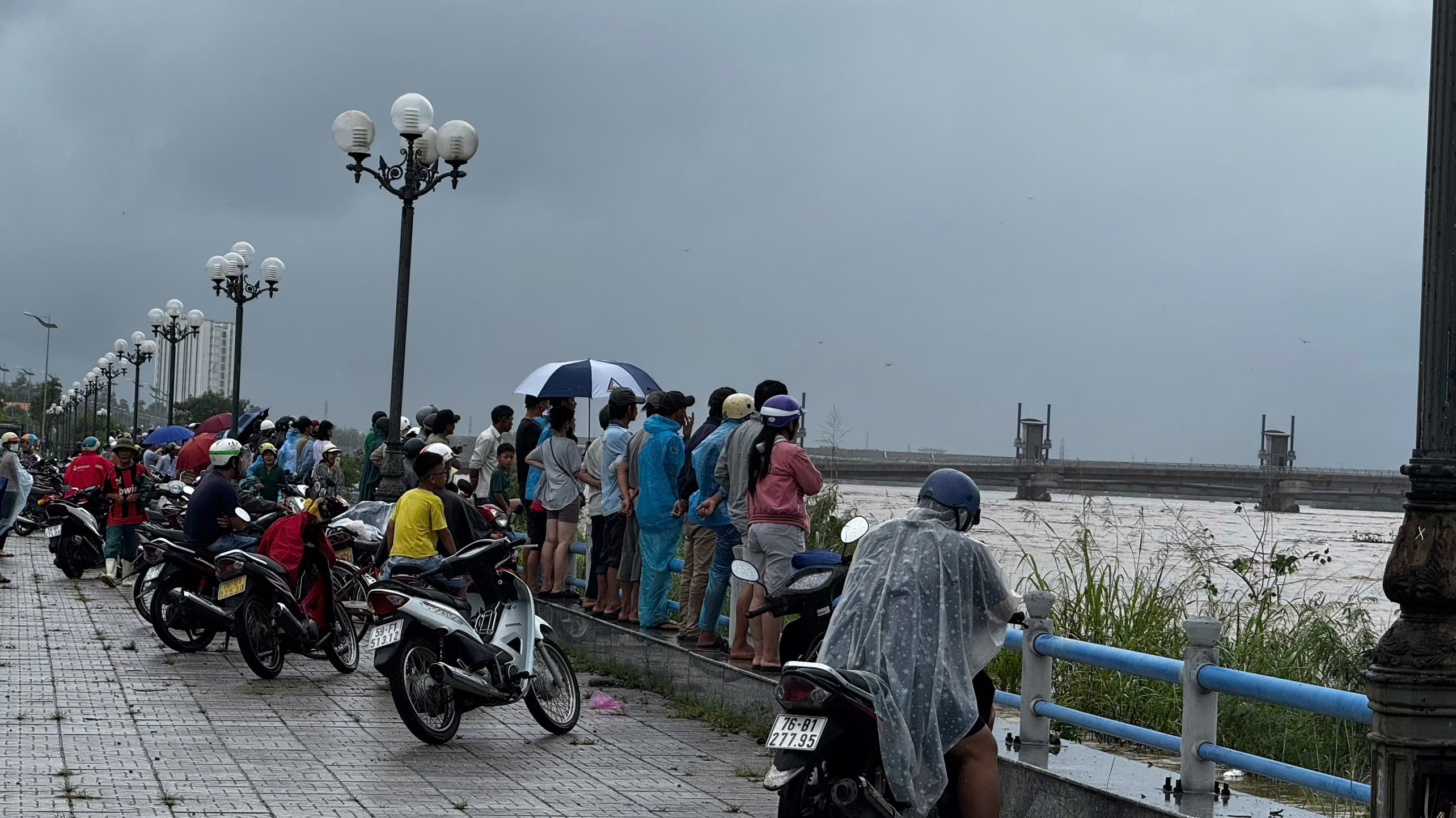 Lũ dâng cao, người đàn ông bị mắc kẹt ở gò đất giữa sông Trà Khúc