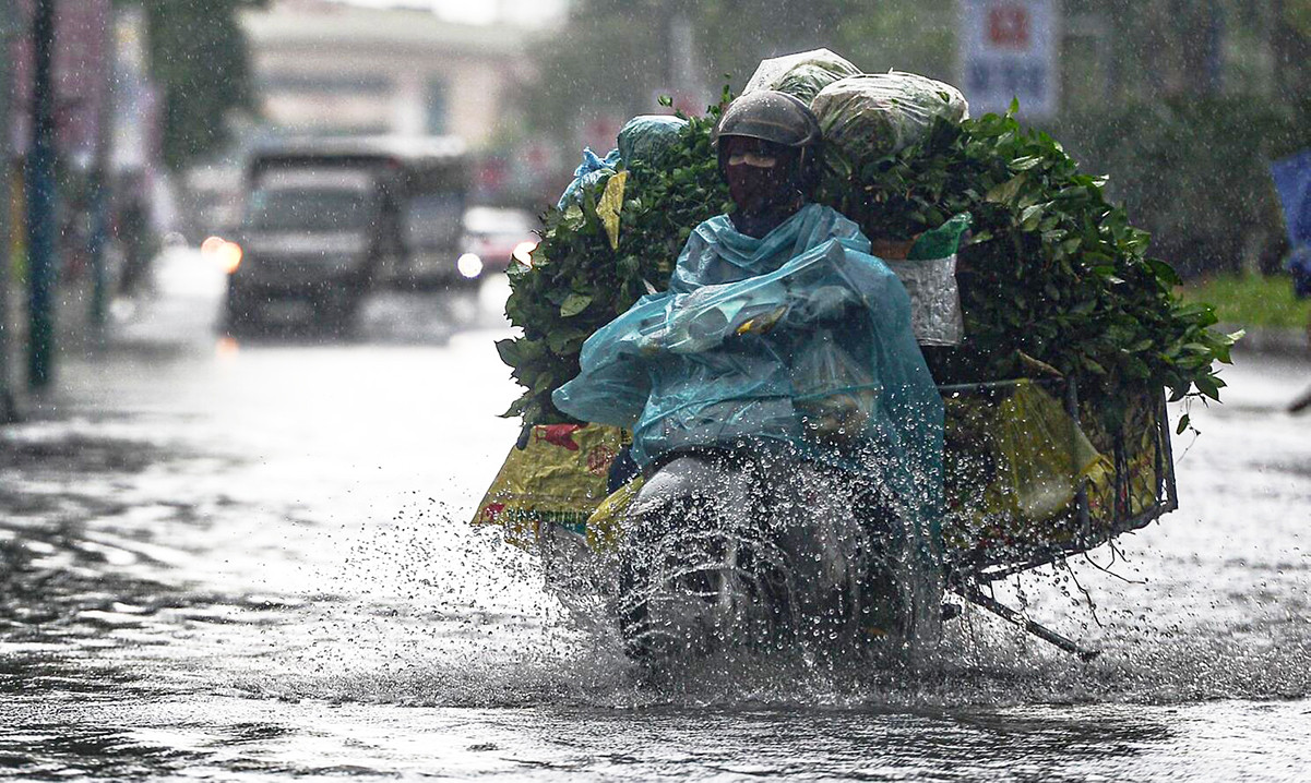 Dự báo thời tiết 2/11: Miền Trung mưa như trút, miền Bắc chuyển mưa rét từ đêm