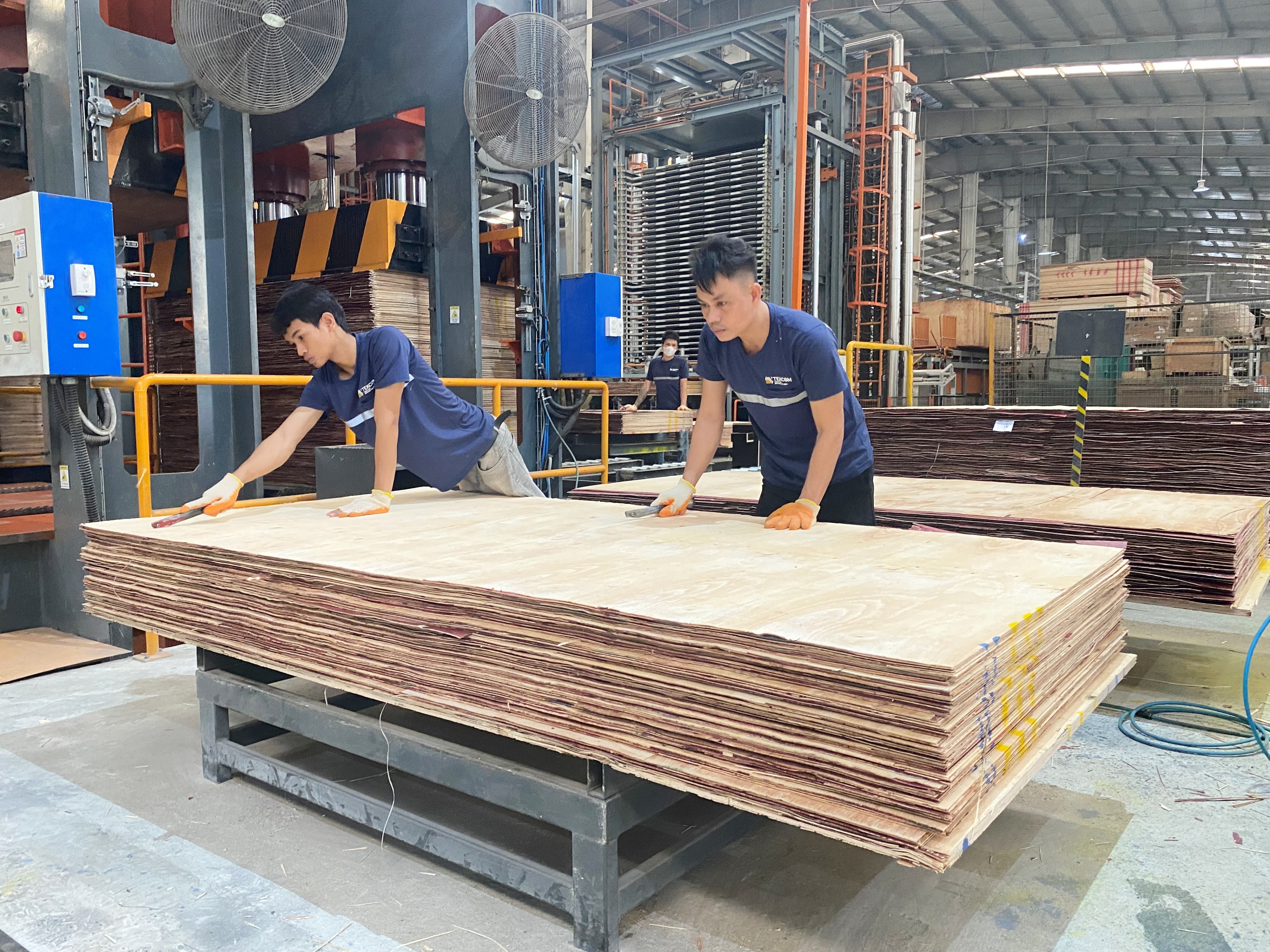 Ván ép Việt Nam xuất khẩu khắp thế giới: Cơ hội và thách thức? 