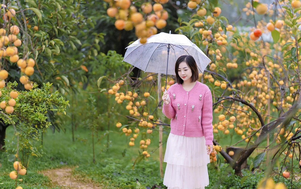 Dự báo thời tiết 12/11: Miền Bắc hửng nắng trước khi chuyển rét sâu