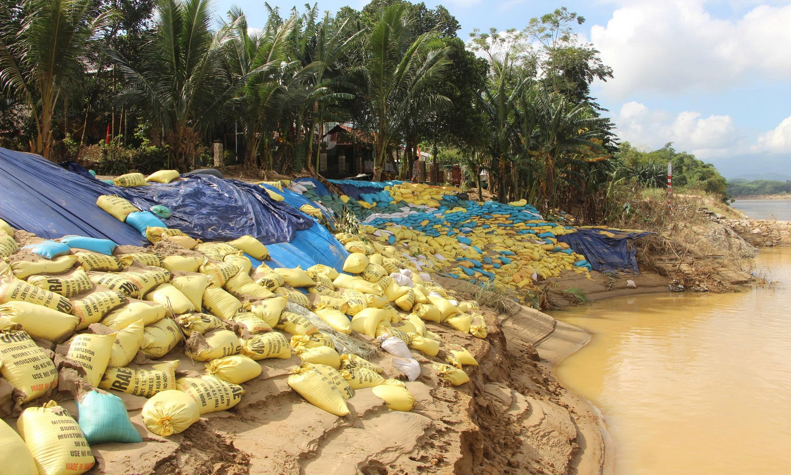 Bờ sông xói lở, dân đắp hơn 10.000 bao cát chặn 'hà bá' nuốt làng