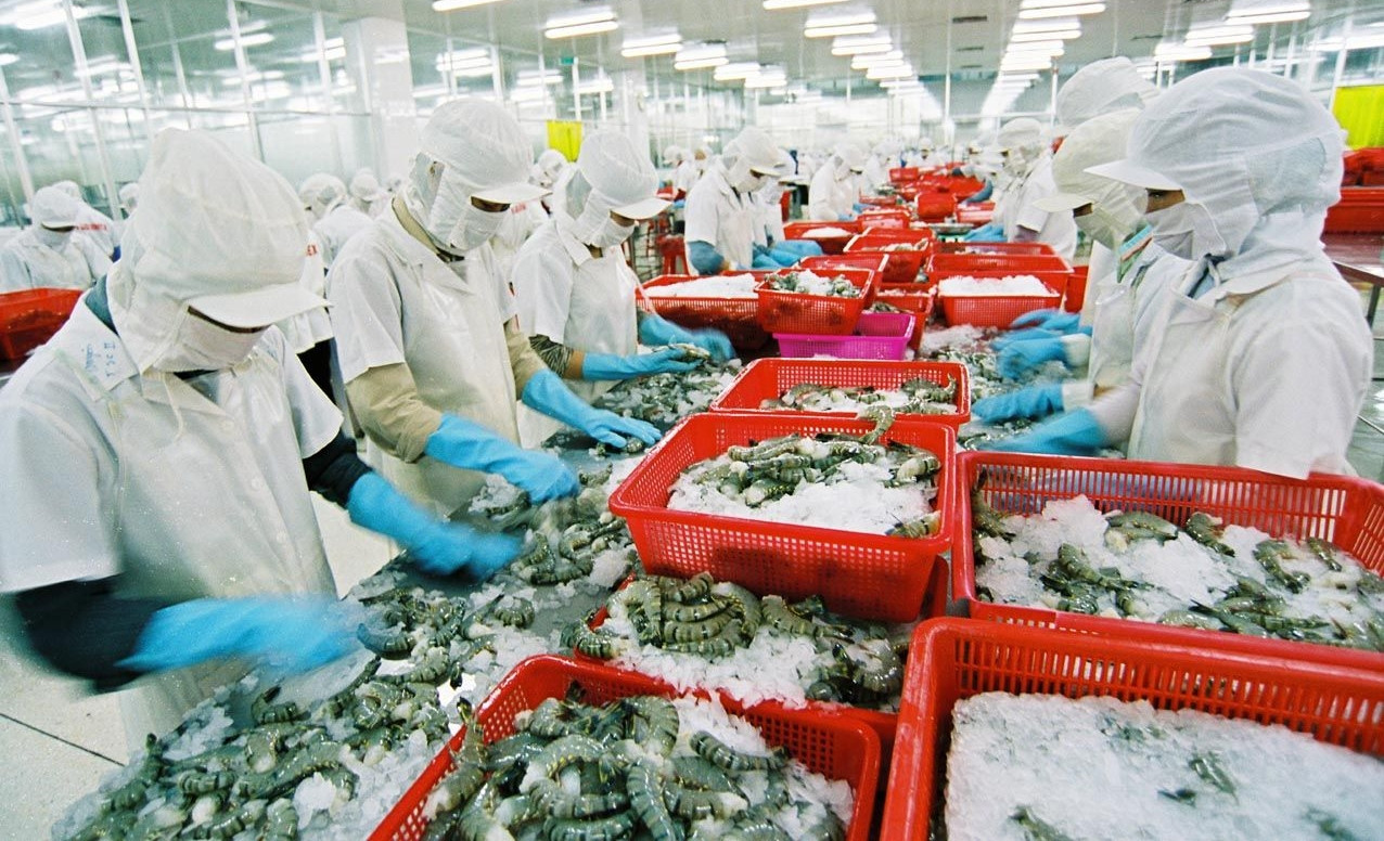 Không được nghỉ cuối tuần, doanh nghiệp thủy sản chật vật tuyển lao động