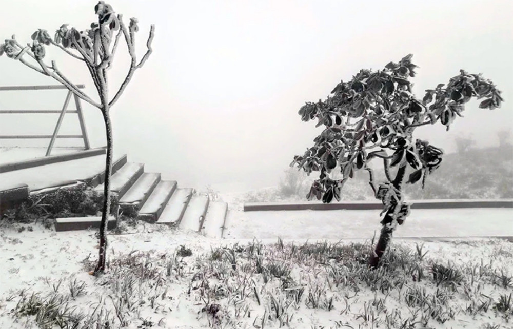 Mùa đông năm nay có thể xuất hiện tuyết và băng giá