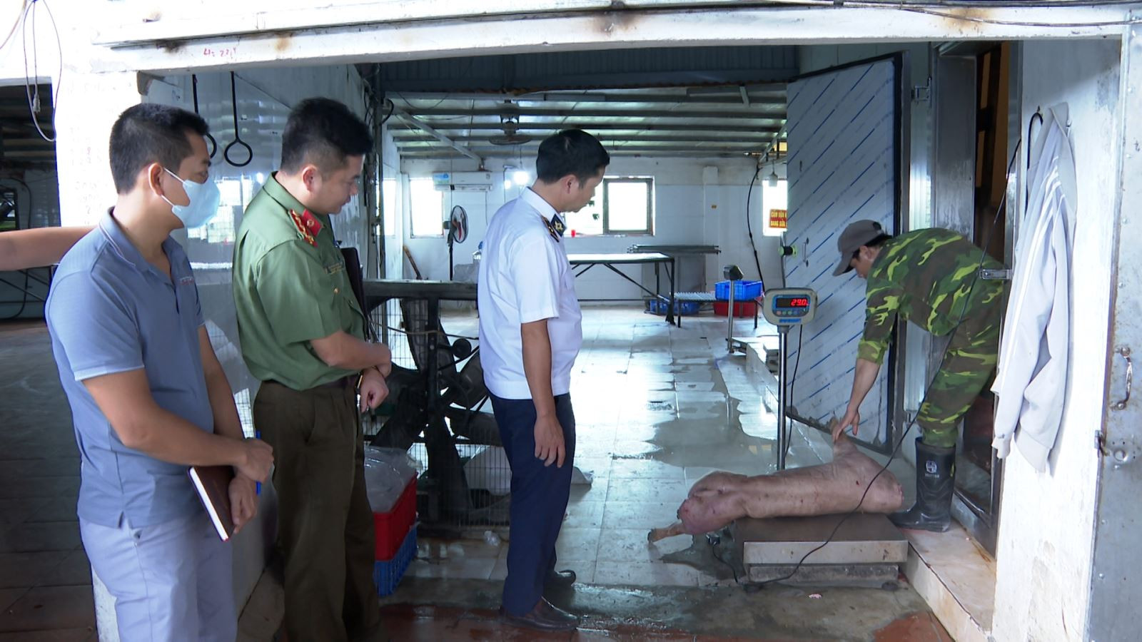 Khởi tố chủ cơ sở chăn nuôi ở Hưng Yên tuồn lợn bệnh ra thị trường