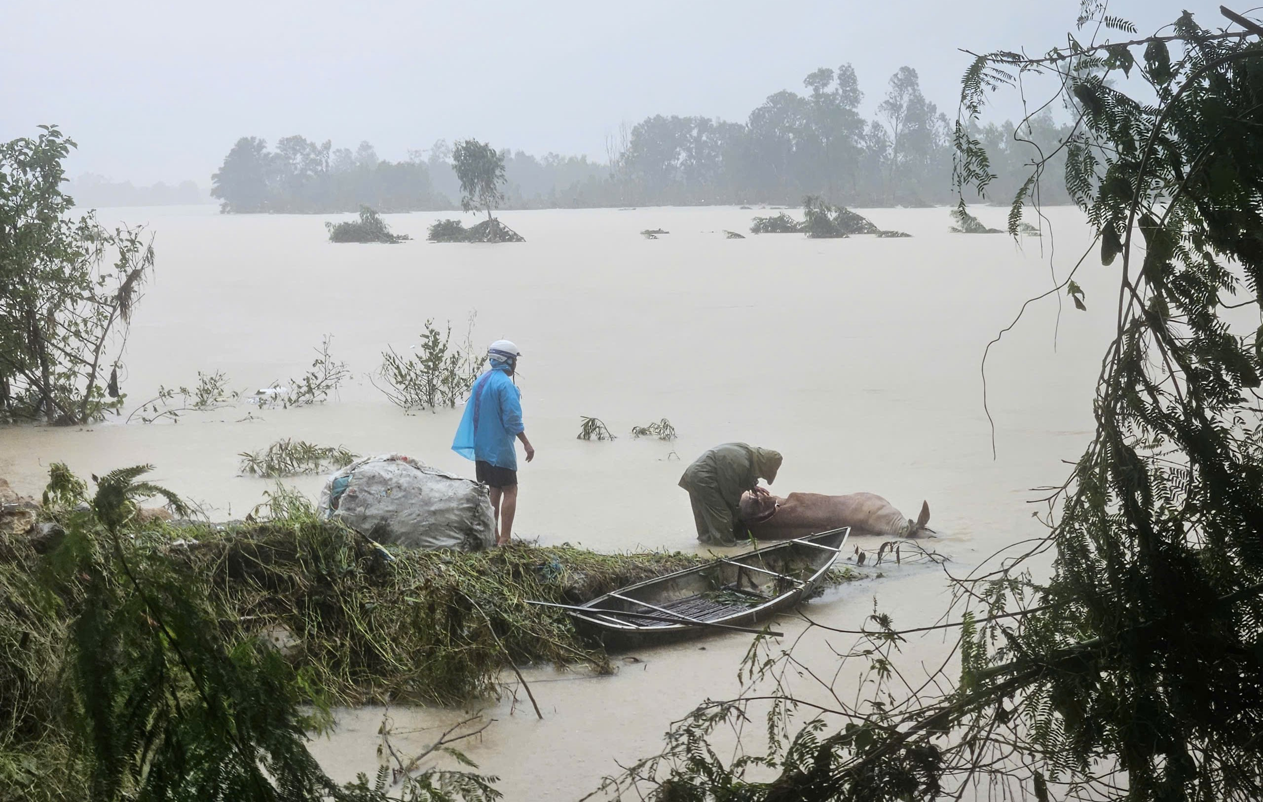 Hàng nghìn người ở Đắk Lắk vẫn bị cô lập do lũ còn ngập sâu, chảy xiết