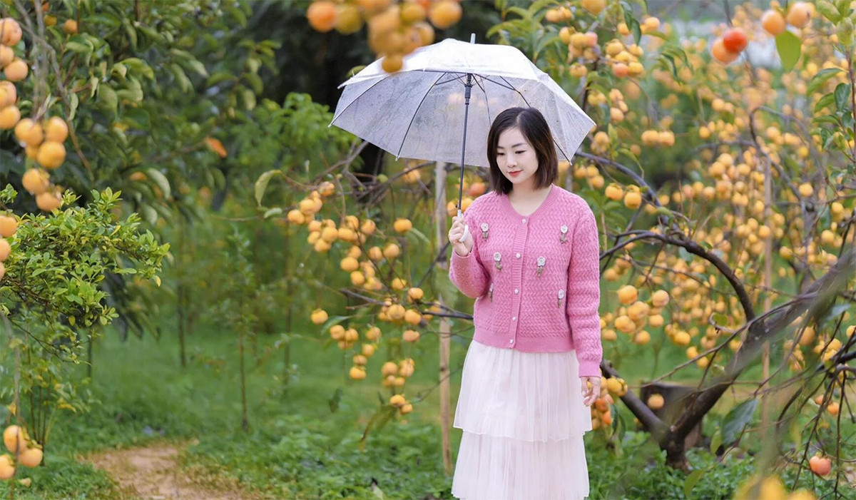 Dự báo thời tiết 26/11: Miền Bắc đêm và sáng rét sâu, ban ngày nắng hanh