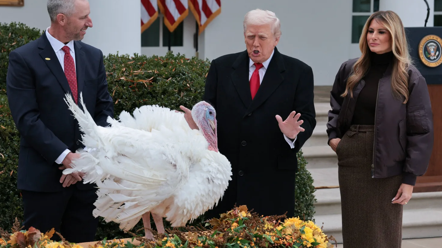 Ông Trump ân xá cho gà tây