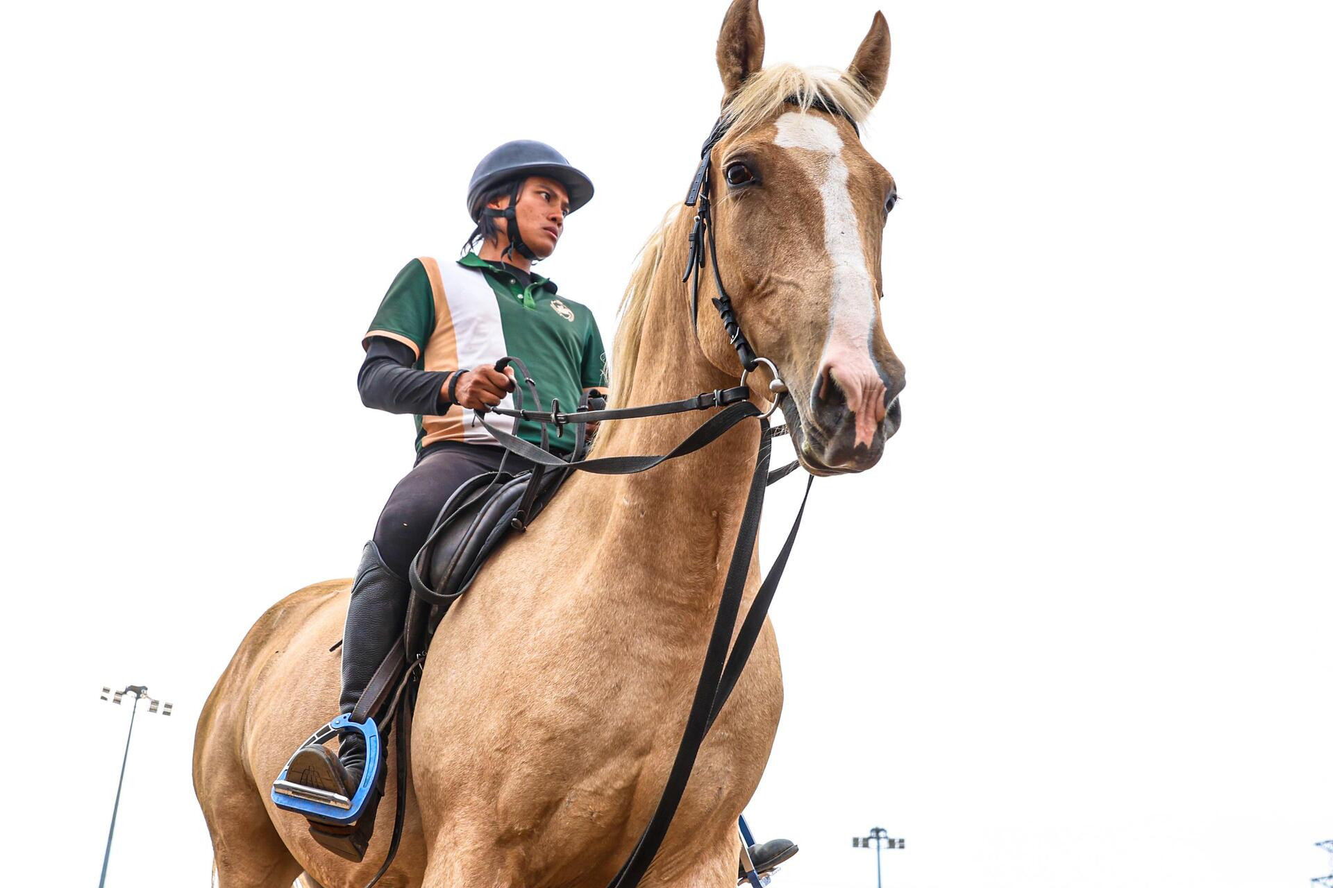 Bên trong nơi nuôi dưỡng giống ngựa triệu đô hiếm bậc nhất thế giới tại Việt Nam