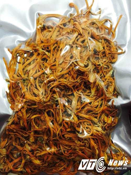 Dong-trung-ha-thao (3)