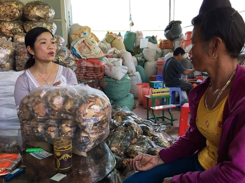 hoang tuyet minh 2