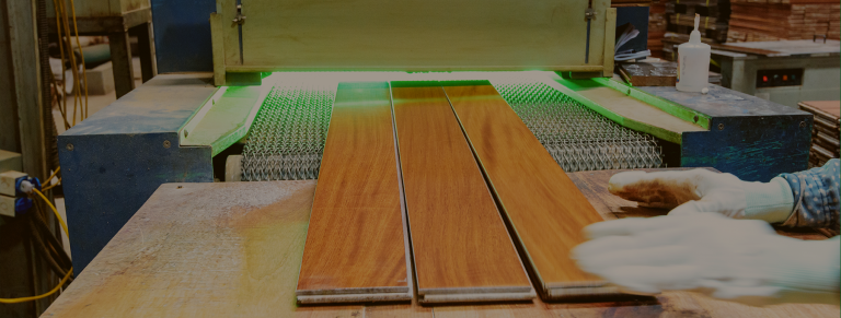 background-head-768x291 3