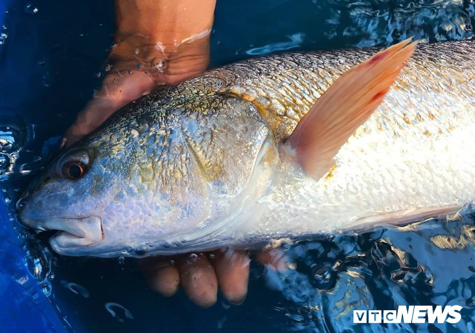 42711641_284017478874266_6779023290192101376_n