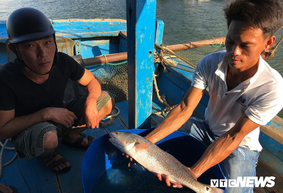 42836418_335947010309382_3864532979334250496_n